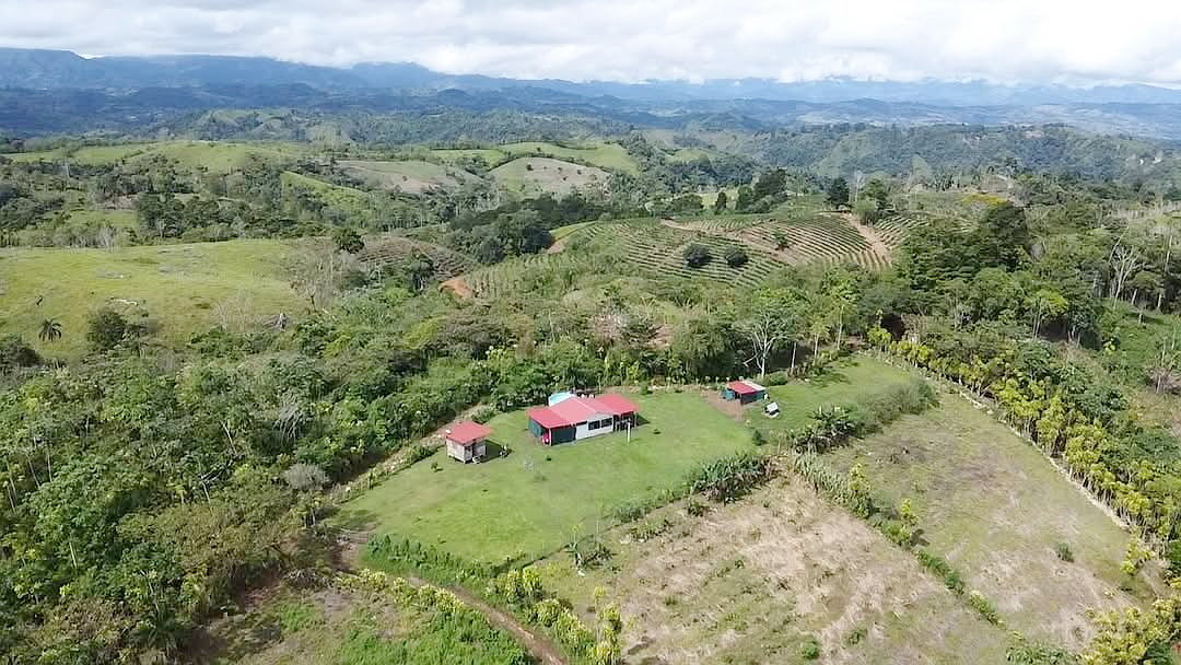 House 0507 - Maison Costa Rica Originally from the Gaspé, Viviane Morin and her spouse acquired a house in Costa Rica. Credit: Courtesy Viviane Morin despite pitfalls, they abandon quebec